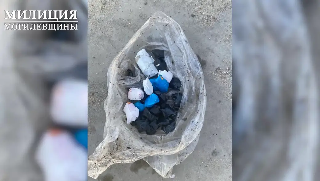 В Могилеве задержан оптовый закладчик наркотиков. Фото: УВД облисполкома