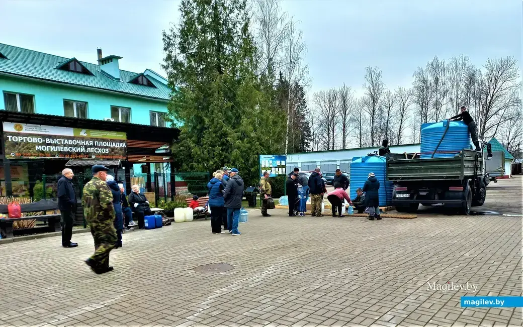 13.04.2023 год. Могилевский лесхоз. Фото Евгения Буловы.