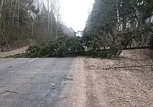 Сильный ветер повредил в Могилевской области крыши 12 строений