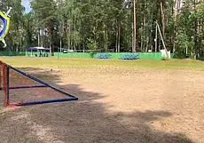 Мама ребенка, на которого упали ворота в лагере под Бобруйском, взыскала 25000 рублей морального вреда