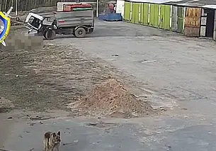 В Могилевском районе водитель погиб под колесами собственного грузовика