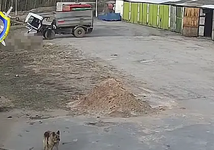 В Могилевском районе водитель погиб под колесами собственного грузовика