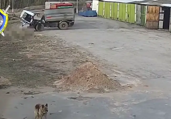 В Могилевском районе водитель погиб под колесами собственного грузовика