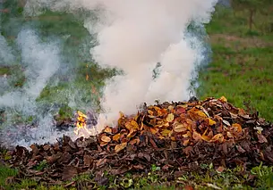 В Гомельской области пенсионер сжигал мусор и получил штраф 86 тысяч рублей