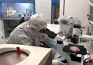 В Беларуси разработан и успешно проведен пациенту метод CAR-T терапии множественной миеломы