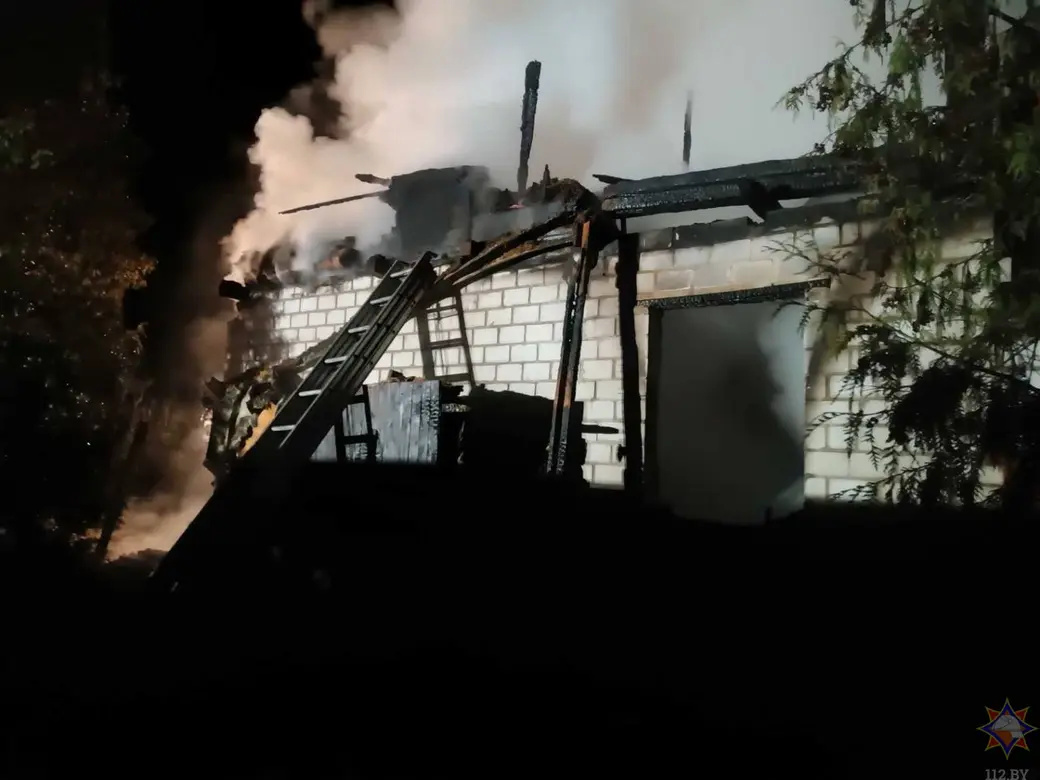 28.03.2025 г. Деревня Углата Осиповичского района. Фото: Могилевское областное УМЧС