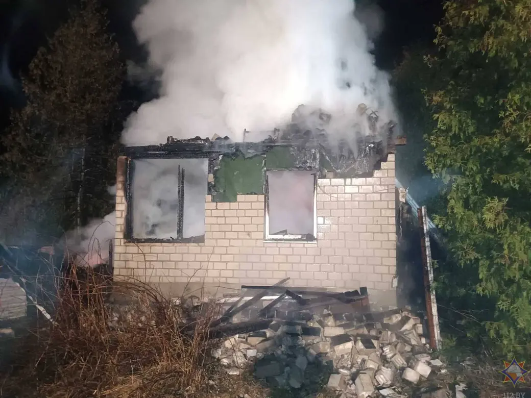 28.03.2025 г. Деревня Углата Осиповичского района. Фото: Могилевское областное УМЧС