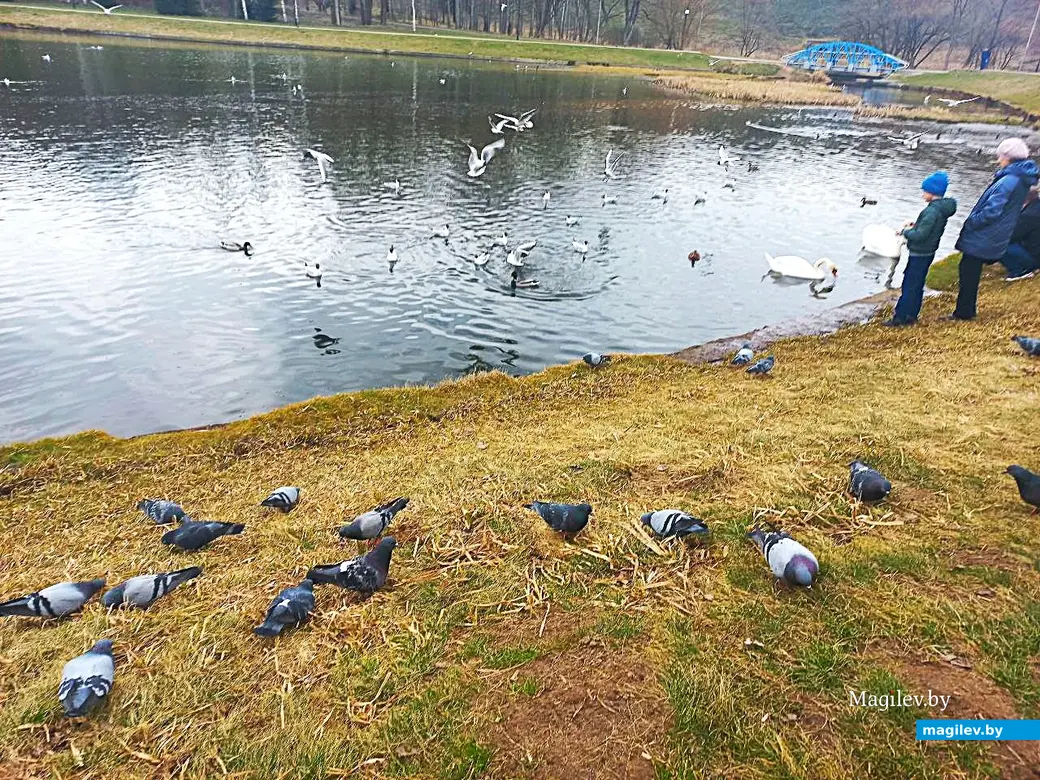 30.03.2025, Могилев, речка Дубровенка.