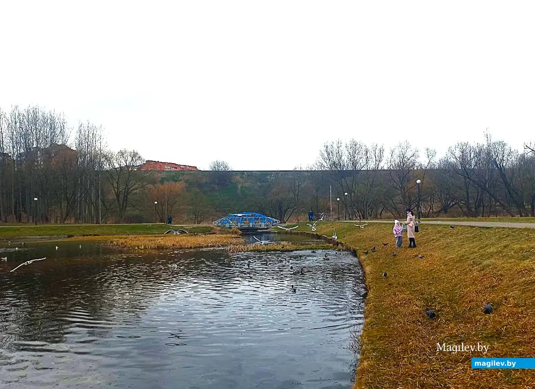 30.03.2025, Могилев, речка Дубровенка.