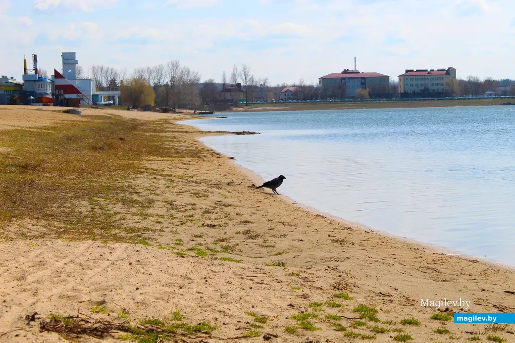 2 апреля 2025 года. Могилев. Святое озеро.