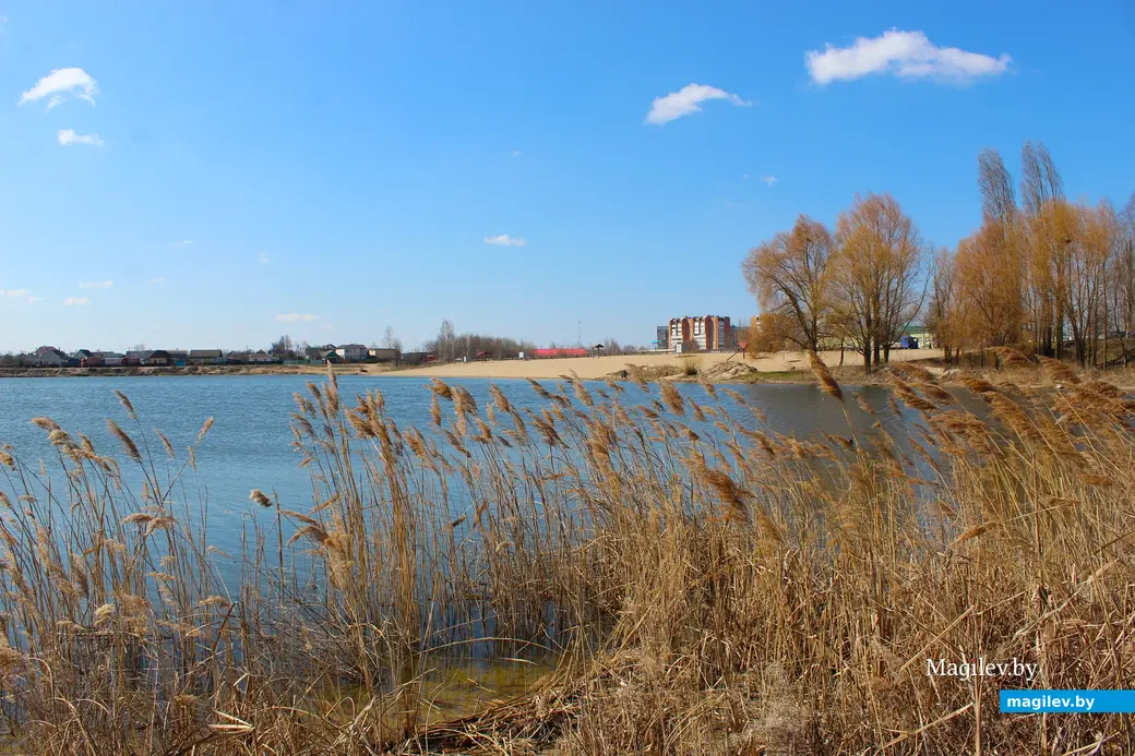 2 апреля 2025 года. Могилев. Святое озеро.