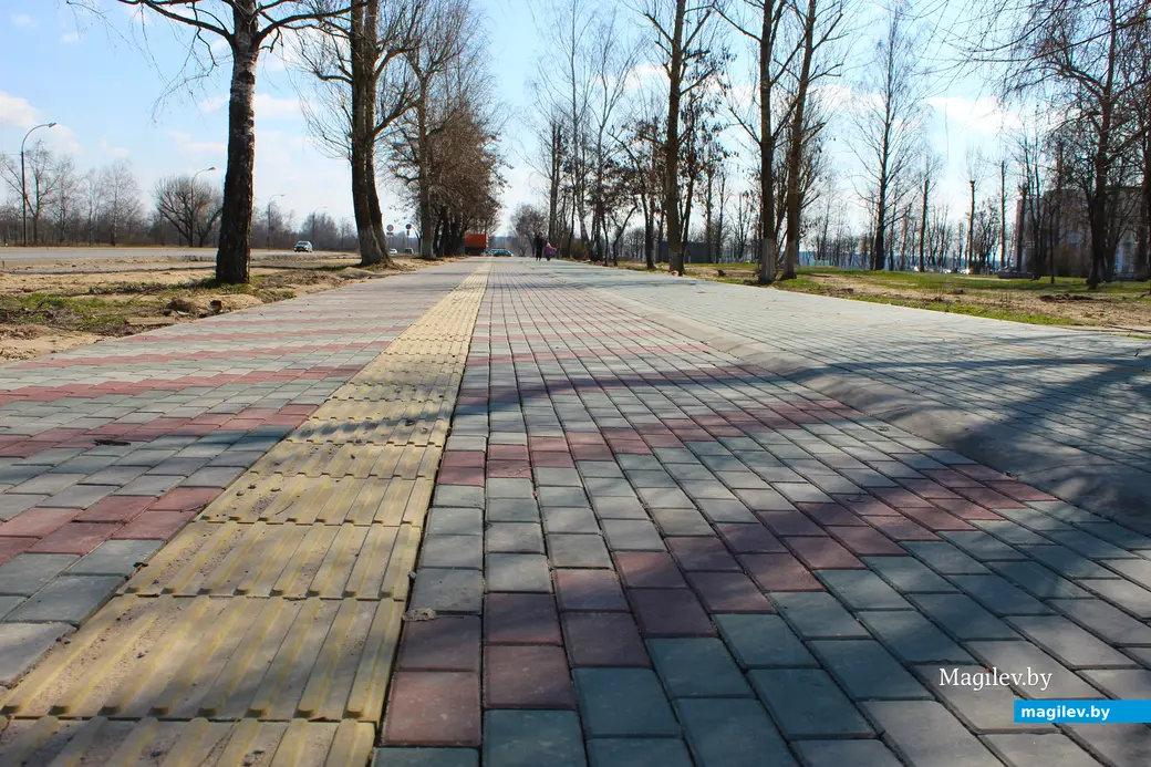 2 апреля 2025 года. Могилев. Святое озеро. Прилегающая территория.