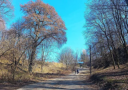 Могилев исчезающий: Дебря это вам не дебри