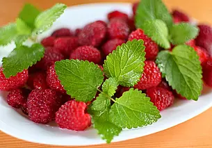 Посадите рядом с малиной мяту – избавитесь от муравьев в огороде