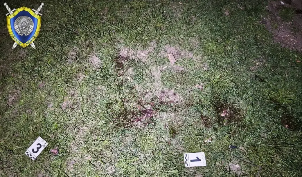 4 апреля 2025 года. В агрогородке Страдечь Брестского района произошел взрыв неустановленного боеприпаса. Фото СК.