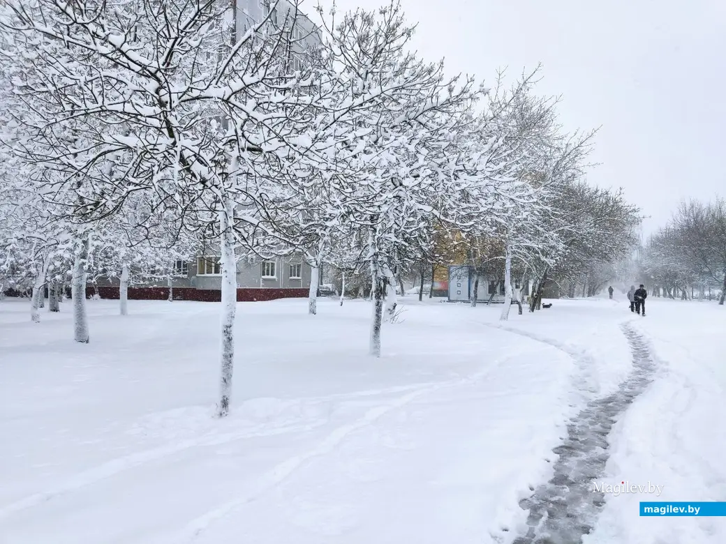 6.04.2025 г. Могилев, ул. Симонова