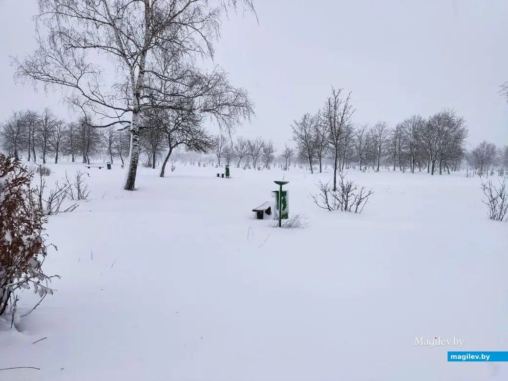 6.04.2025 г. Могилев, парк у Святого озера