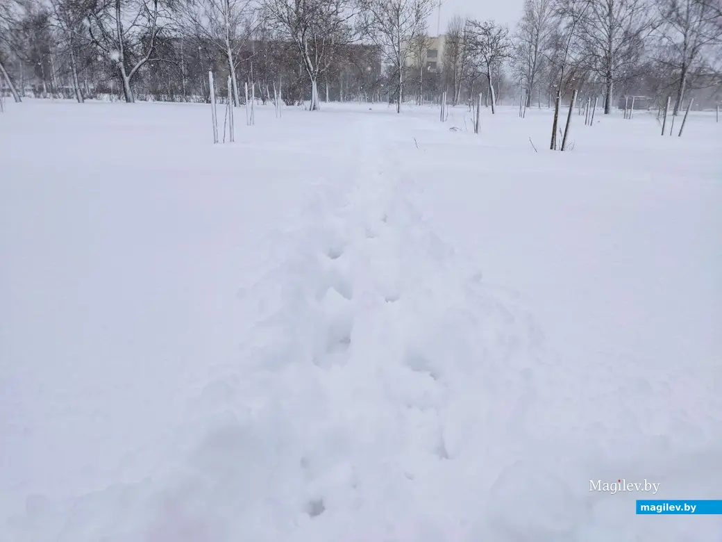 6.04.2025 г. Могилев, парк у Святого озера