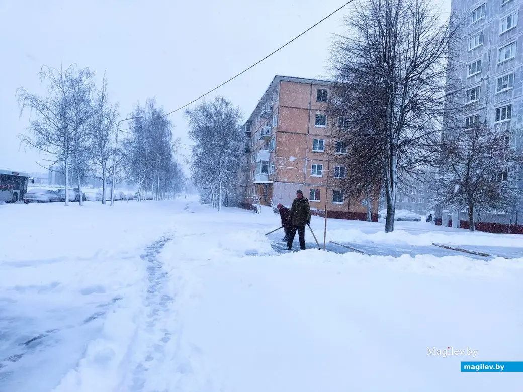 6.04.2025 г. Могилев, ул. Симонова