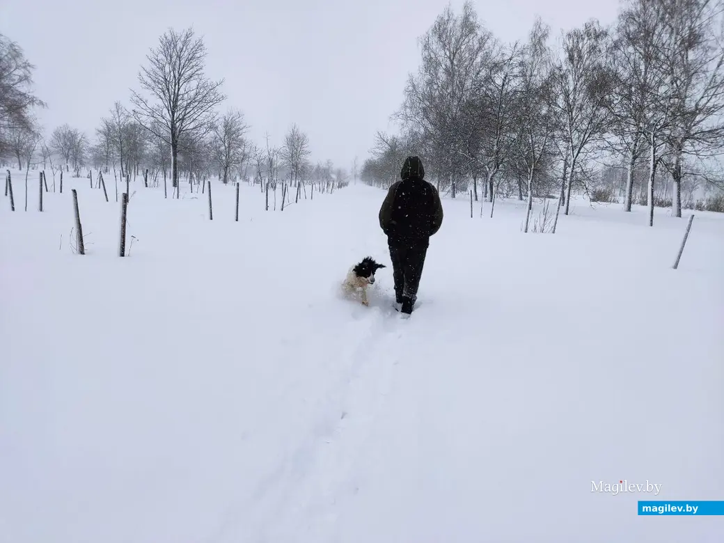 6.04.2025 г. Могилев, парк у Святого озера