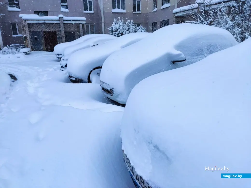 6.04.2025 г. Могилев, ул. Симонова