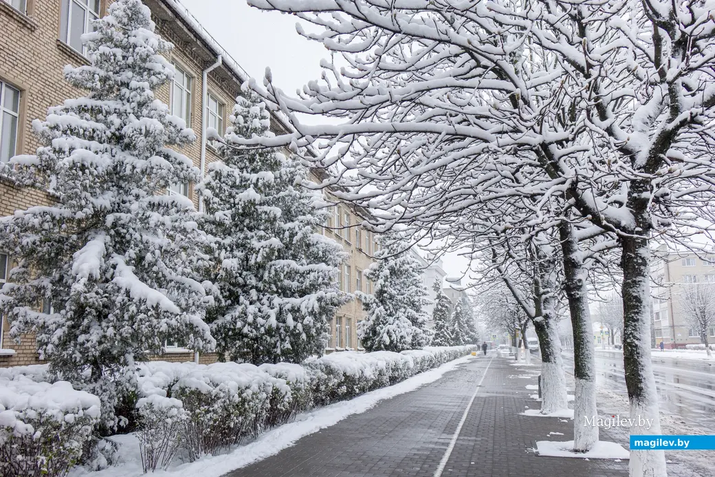 06.04.2025. Ленинский район. Апрельский снегопад. Циклон «Зион»