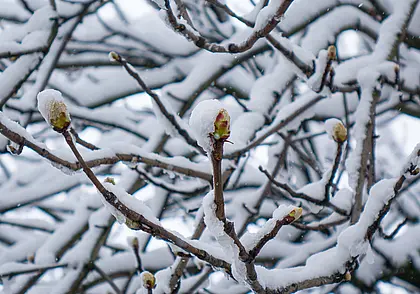 Апрель оянварел. Чего ждать от погоды в Беларуси с 7 по 13 апреля?
