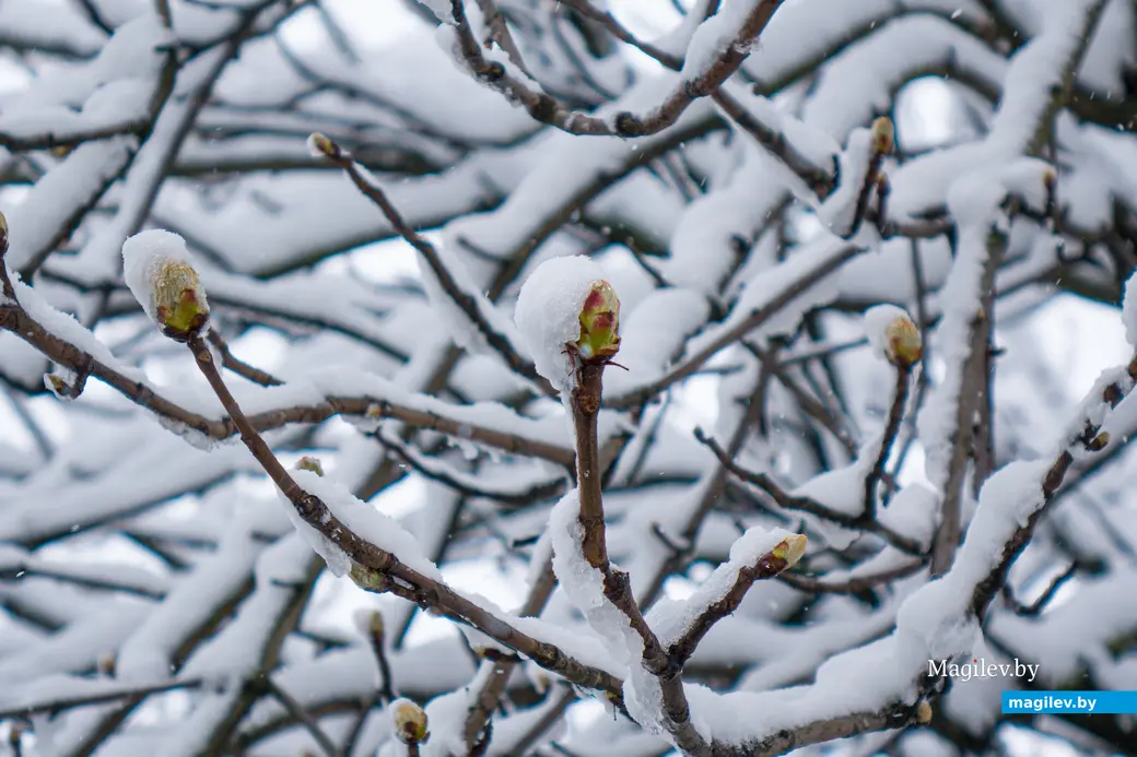 06.04.2025. Ленинский район. Апрельский снегопад. Циклон «Зион»