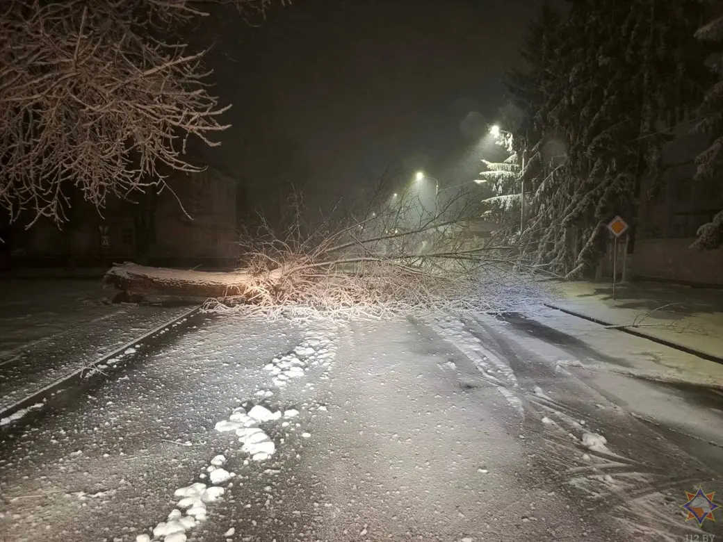 6 апреля 2025 года. Последствия непогоды в Могилевской области. Фото: МЧС.