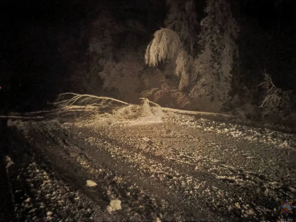 6 апреля 2025 года. Последствия непогоды в Могилевской области. Фото: МЧС.