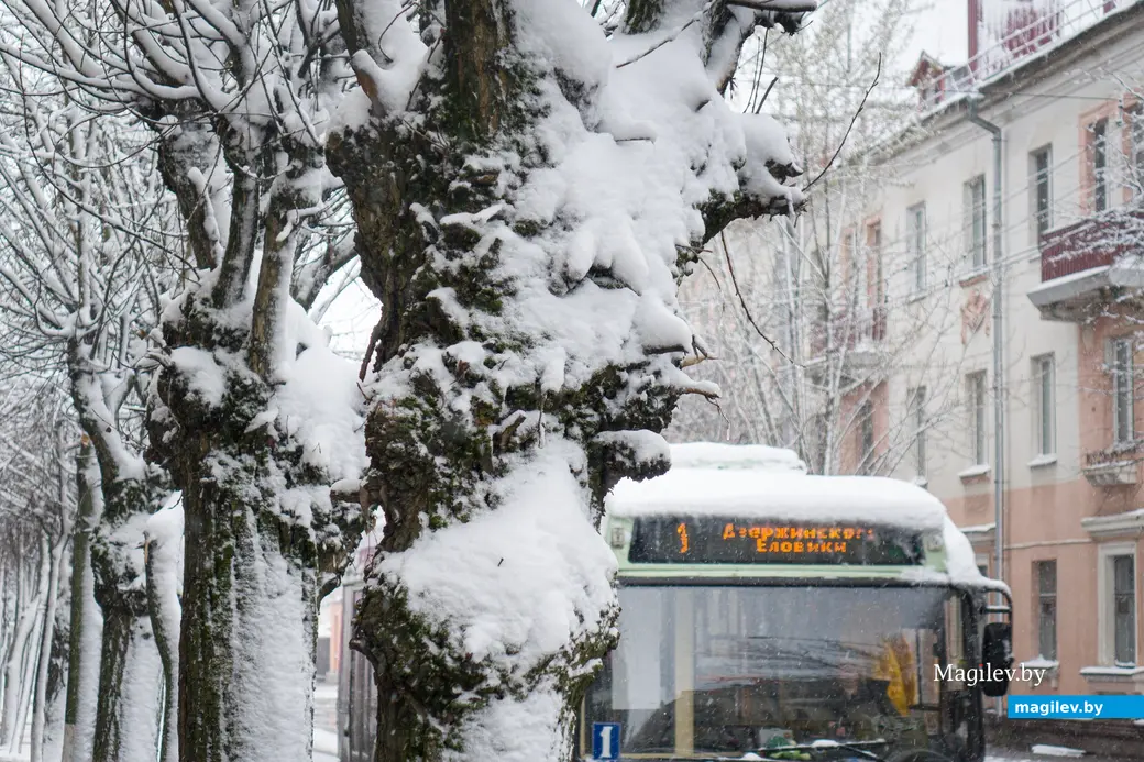 06.04.2025. Ленинский район. Апрельский снегопад. Циклон «Зион»