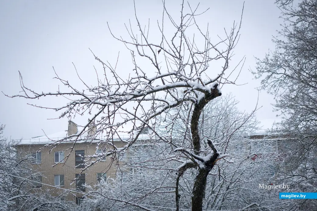 06.04.2025. Ленинский район. Апрельский снегопад. Циклон «Зион»