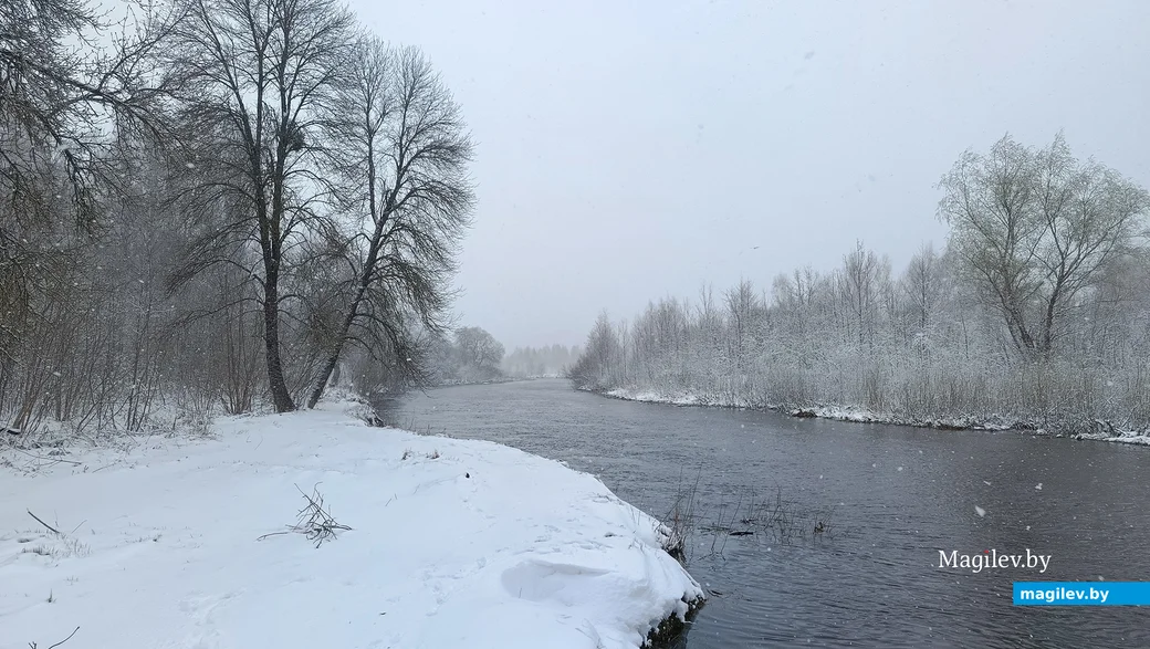  06.04.2025 г. Глуск. Река Птичь.