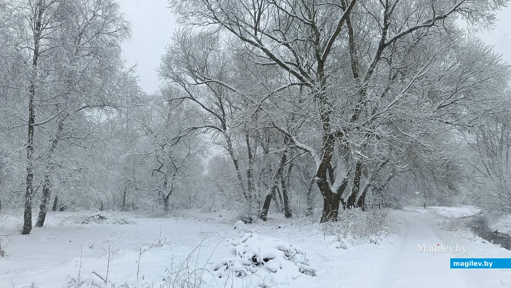   06.04.2025 г. Глуск. Окрестности реки Птичь.
