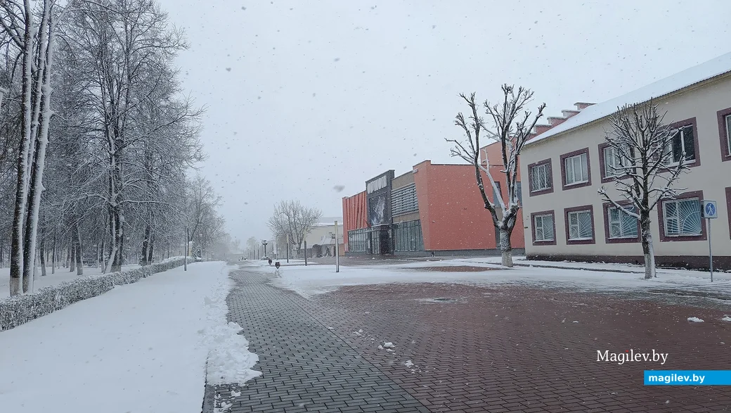   06.04.2025 г. Глуск.