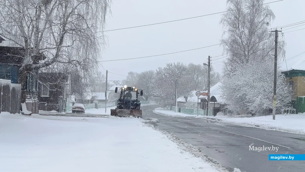  06.04.2025 г. Глуск.