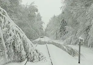 Железнодорожное движение нарушено на участке Осиповичи-Могилев