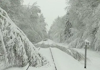 Железнодорожное движение нарушено на участке Осиповичи-Могилев