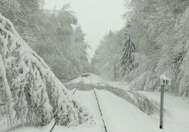 Железнодорожное движение нарушено на участке Осиповичи-Могилев