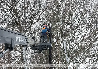 В «Могилевэнерго» пообещали, что нарушенное из-за непогоды электроснабжение будет восстановлено до конца дня