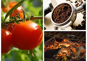 Без химии: кофейно-зольная подкормка для овощей и цветов. Рассказываем, как приготовить