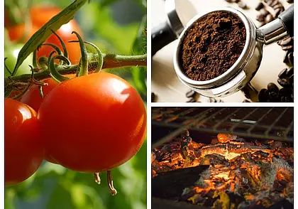 Без химии: кофейно-зольная подкормка для овощей и цветов. Рассказываем, как приготовить