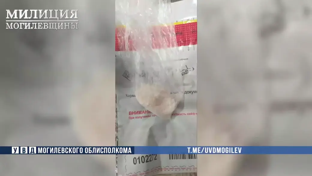 18-летняя закладчица психотропов задержана в Бобруйске. Фото: УВД Могоблисполкома