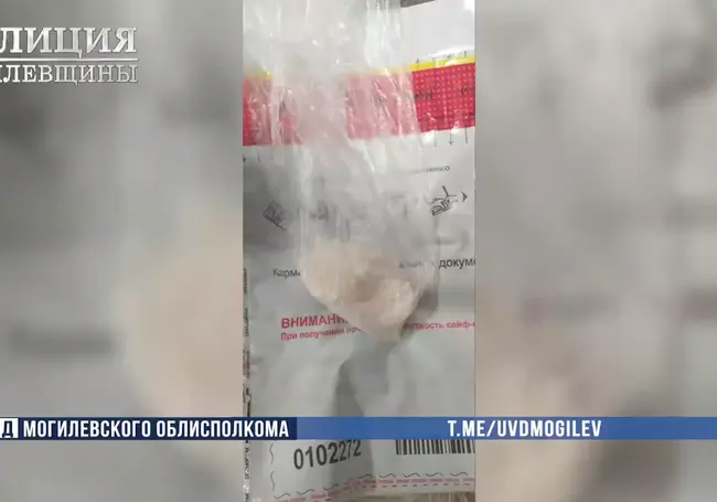 18-летняя бобруйчанка работала на наркомаркет. Теперь ей «светит» до 20 лет лишения свободы