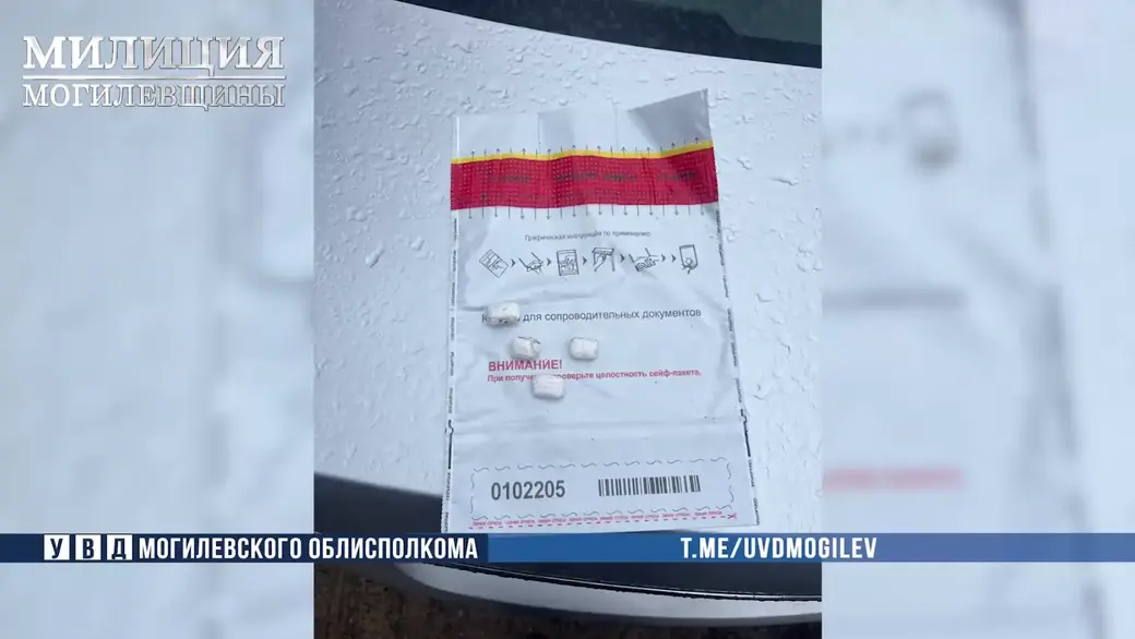 18-летняя закладчица психотропов задержана в Бобруйске. Фото: УВД Могоблисполкома