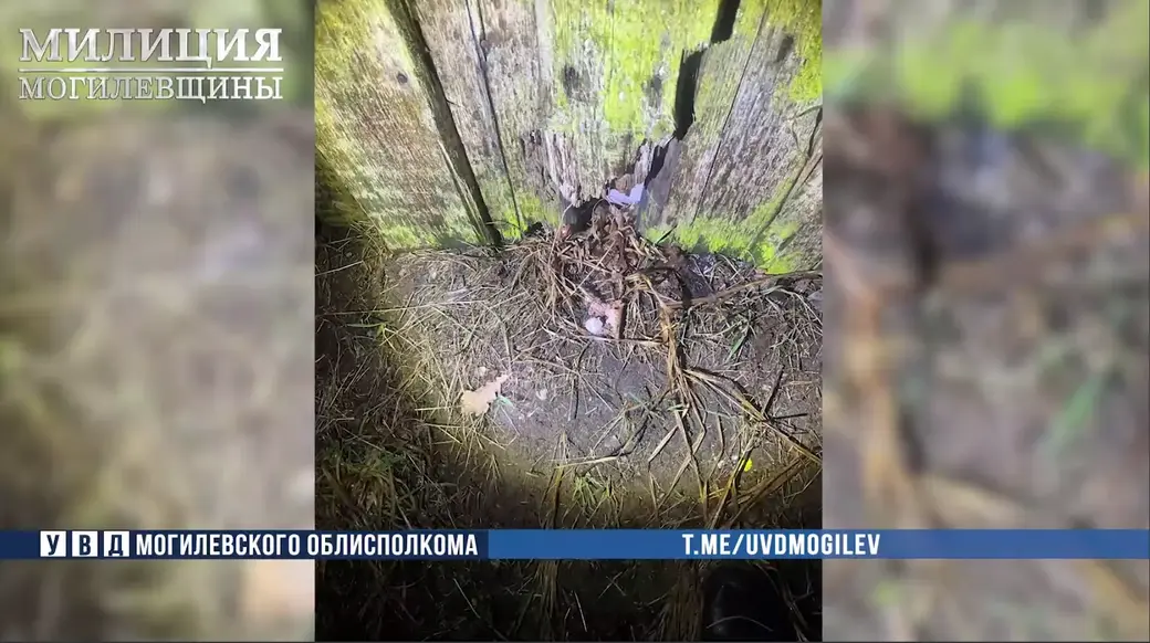 18-летняя закладчица психотропов задержана в Бобруйске. Фото: УВД Могоблисполкома