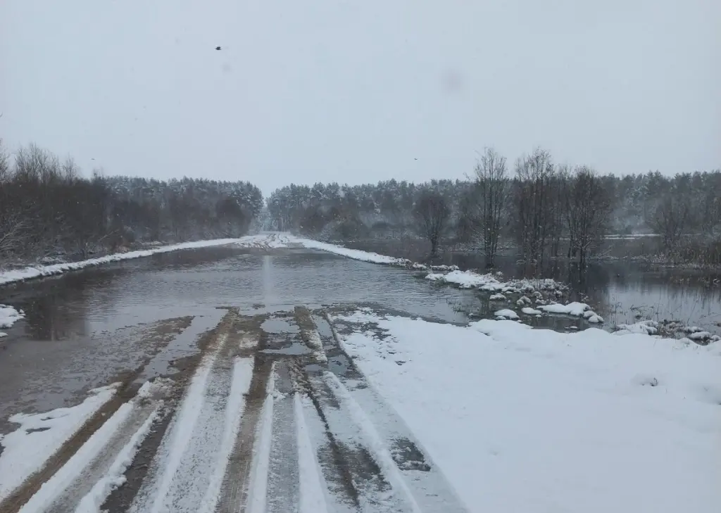 7.04.2025 г. Хотимский район, подтопление дороги. Фото: Могилевское областное УМЧС