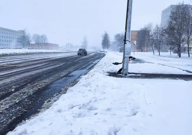 10 апреля в Беларуси ожидается ветер порывами 15-20 м/с. Объявлен оранжевый уровень опасности