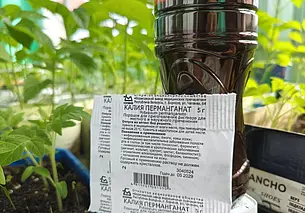 Зачем нужна марганцовка на огороде? Потому что есть реальная польза. Рассказываем, какая