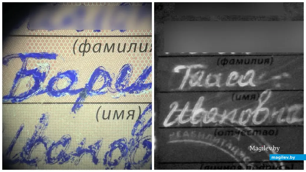 Фото: ГКСЭ РБ